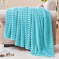 BEDELITE Ribbed Jacquard Light Blue Fleece Twin Blanket by BEDELITE