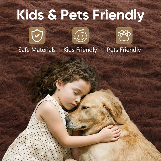 4x6 Brown Fluffy Soft Area Rug Non-Slip - Image 7