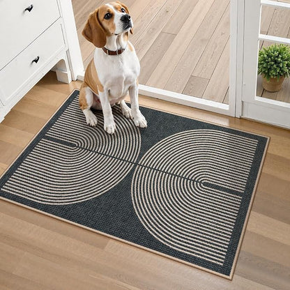 Lahome Rainbow Indoor Door Mat - Image 6