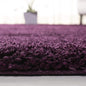 SAFAVIEH California Shag Collection Area Rug by Unknown