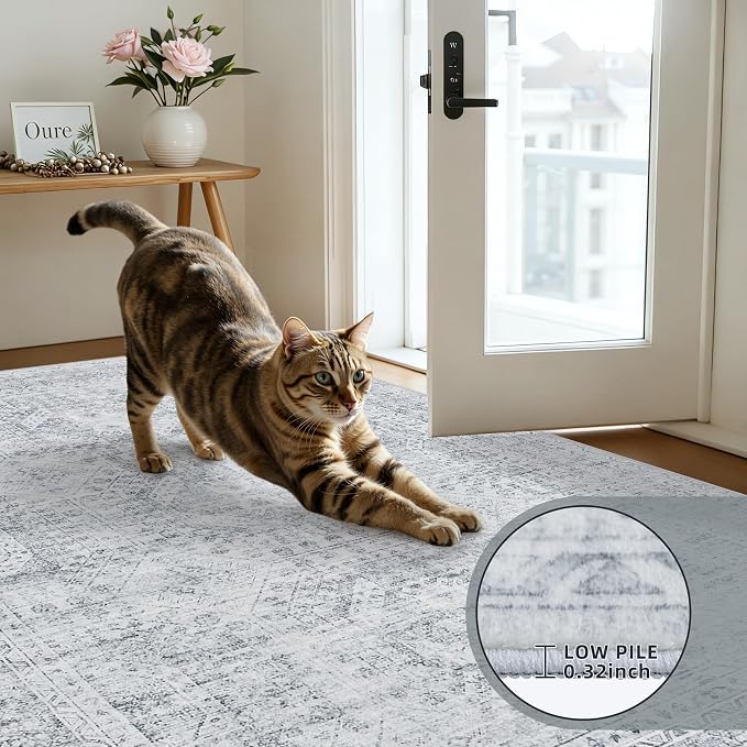 5x7 Area Rugs Living Room: Bedroom Neutral Washable Carpet Gray | Vintage Boho - Image 7
