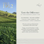 Luxmi Estates - Tokyo Green - Organic Makaibari Darjeeling Green Tea - Loose Leaf - 100g (50 Cups) | From the Foothills of the Himalayas
