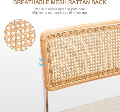 Zesthouse Natural Rattan Dining Chairs Set of 2, Mid Century Modern Dining - Image 3