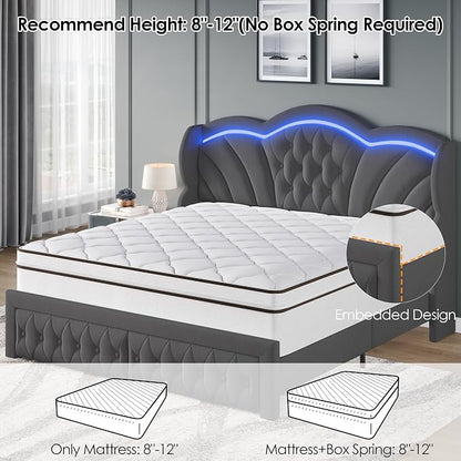 Keyluv Queen Bed Frame with LED Lights and 2 Storage Drawers, Velvet - Image 7