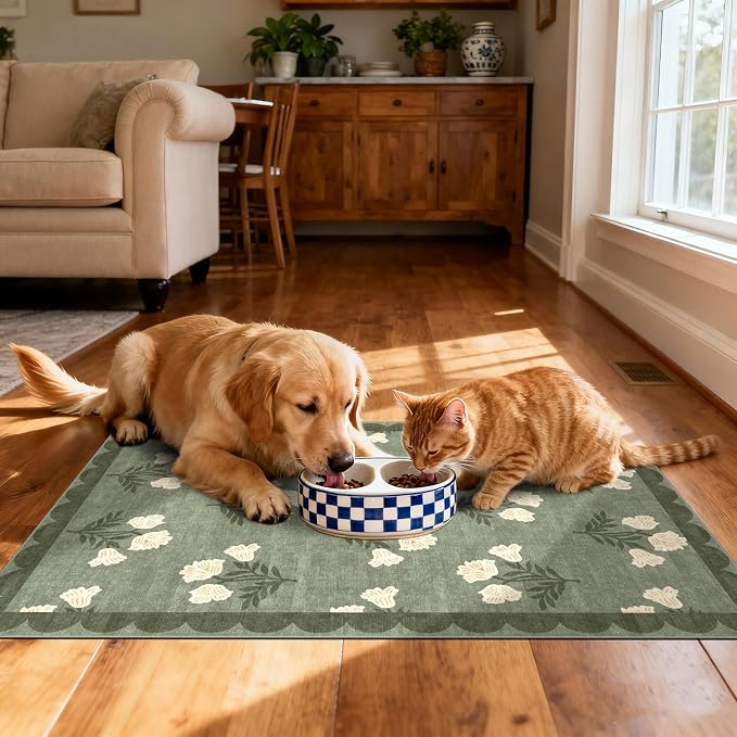 Front Door Mat Outside Entrance - Image 6