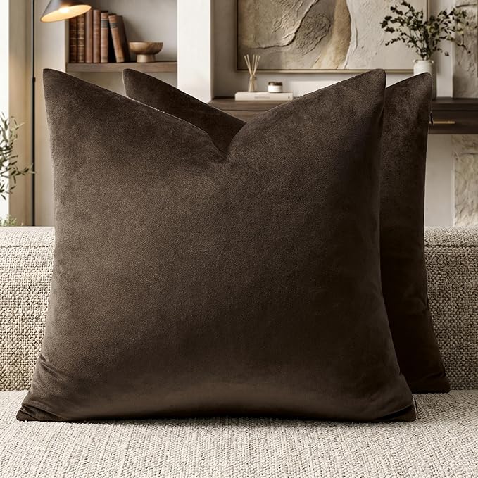 GIGIZAZA Brown Velvet Pillow Covers 20x20 Decorative Pillows Pack of 2 | Throw by GIGIZAZAFocusingonhomedecoration