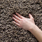 SAFAVIEH California Shag Collection Area Rug by Unknown