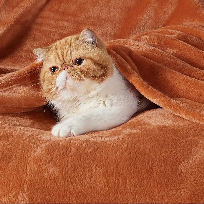 Bedsure GentleSoft Orange Fleece Blanket King Size - Image 2