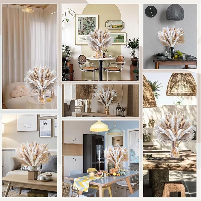 300PCS Natural Pampas Grass Mix Bouquet | Dried Pampas Bouquet - Image 7
