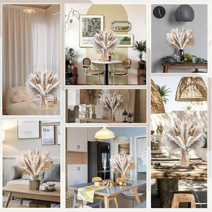 440PCS Natural Pampas Grass Mix Bouquet | Dried Pampas Bouquet - Image 5