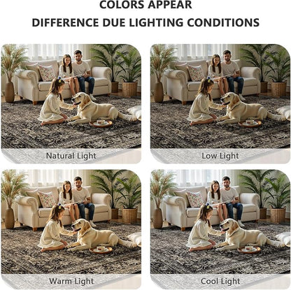 8x10 Area Rugs for Living Room - Image 7