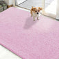 OLANLY Dog Door Mat for Muddy Paws 50x30, Super Absorbent Chenille Mud Mat | by OLANLY