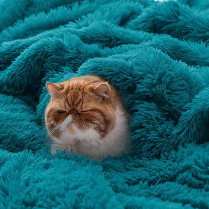 Bedsure GentleSoft Fluffy Turquoise Teal Blankets Queen Size - Image 5
