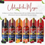 Jimoco Syrup Pump & Torani Syrup Bundle - Fruit Bowl Syrup 6 Pack Summer Flavors, Raspberry, Strawberry, Blackberry, Cherry, Orange and Peach - For Italian Soda Coffee, Lattes, Frappes With 6 Pump Dispensers