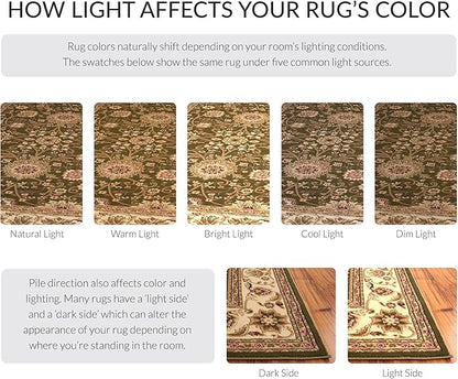 SAFAVIEH Lyndhurst Collection Area Rug - Image 8