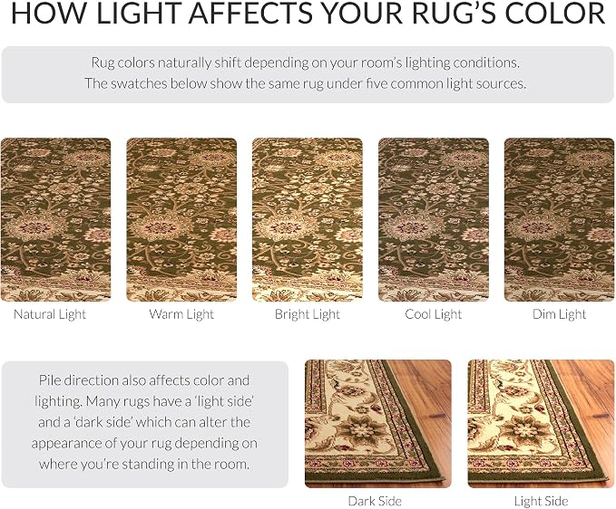 SAFAVIEH Lyndhurst Collection Area Rug - Image 6