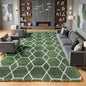 6x9 Area Rugs for Living Room Bedroom, Fluffy Olive Green and White Rug | by ONASAR