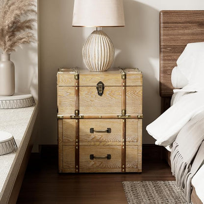 Aoikax Vintage Storage Chest - Image 6