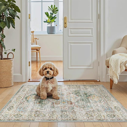 Madane Washable Area Rug 2x3 Small Entryway Rugs Non-Slip, Low Pile Floor Carpet by Madane