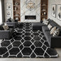 Area Rugs for Living Room, 7x10 Fluffy Black and White Modern Bedroom Rug | by ONASAR