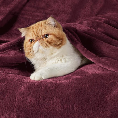 Bedsure GentleSoft Fleece Throw Blanket Red - Image 2