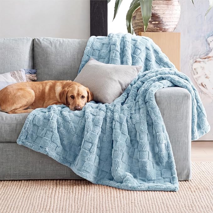 Bedsure GentleSoft Light Blue Throw Blanket - Image 8