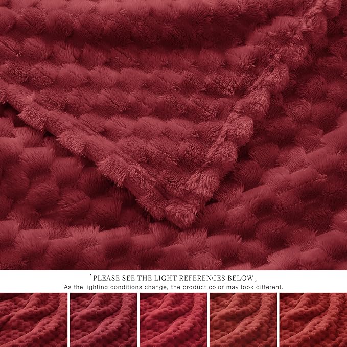 EXQ Home Fleece Throw Blanket for Couch or Bed - Image 6