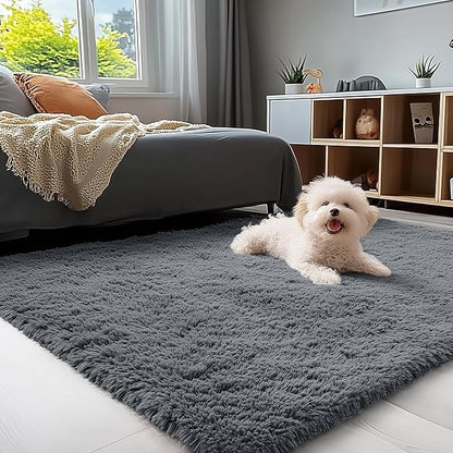 OLANLY 3x4 Machine Washable Accent Rug, Soft Fluffy Shaggy Area Rug by OLANLY