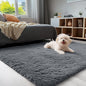 OLANLY 3x4 Machine Washable Accent Rug, Soft Fluffy Shaggy Area Rug by OLANLY