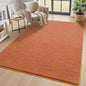 4x6 Area Rugs for Living Room Non Slip Dorm Bedroom Rug, Minimalist Washable by AROGANAREARUG