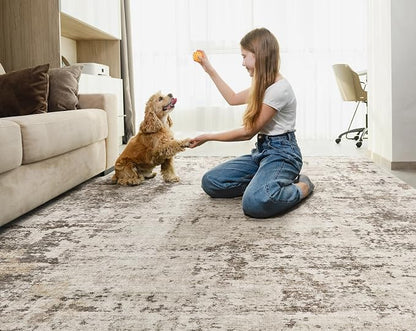 UERMEI 5x7 Area Rug Living Room Rugs - Image 5