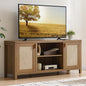 SICOTAS TV Stands for Living Room : Rattan TV Console Cabinet by SICOTAS