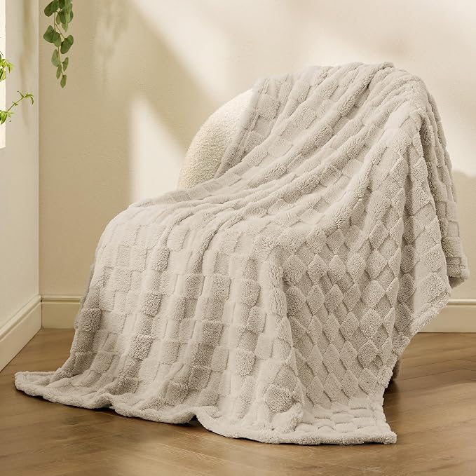 Bedsure GentleSoft Neutral Twin Blanket - Image 6