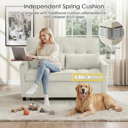 Sleeper Sofa Bed, Guest Room - Image 6