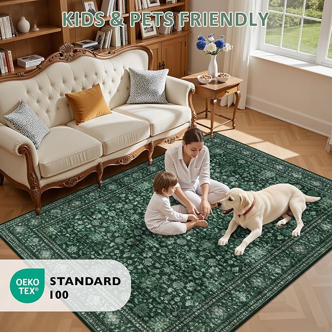 8x10 Area Rugs Living Room: Washable Rug - Image 9