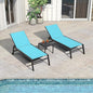 PURPLE LEAF Extra Large Outdoor Chaise Lounge 2 Pieces Aluminum Patio Lounge by PURPLELEAF