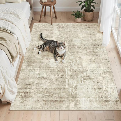 Soalmost Abstract 3x5 Rugs, Small Kitchen Entryway Area Rug Beige/Gray | - Image 4