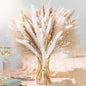 Natural Pampas Grass 8kind Grass Mix Bouquet | Dried Pampas Bouquet by Naturalpampa