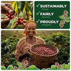 GO RA COFFEE – Ethiopian Roast Whole Bean – Organic Arabica from Ethiopia – Mycotoxin-Free, Single Origin African Beans – Roasted at Source – 500g (17.64 oz) – by Moyee Coffee