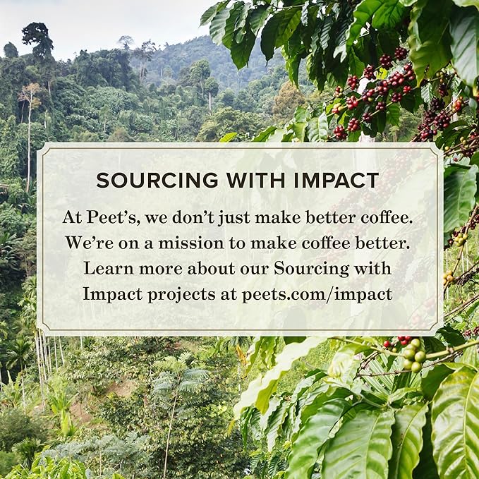 Peet's Coffee, Medium Roast Espresso Capsules, Compatible with Nespresso Original Machine - Ricchezza Intensity 8, 50 Count (5 Boxes of 10 Espresso Capsules)