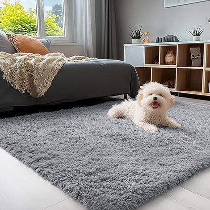 OLANLY 4x4 Machine Washable Accent Rug, Soft Fluffy Shaggy Area Rug by OLANLY