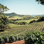 Coffee Bean Direct Unroasted Brazilian Santos, 5 Pound (Pack of 1)