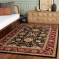 SAFAVIEH Lyndhurst Collection Accent Rug by Unknown