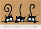 Coir Welcome Mat, 17 x 29 in | 100% Natural Coir, Anti-Shedding, Durable PVC by AmaruDoorMats