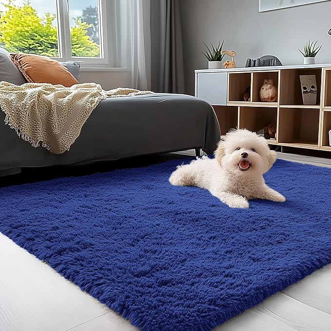OLANLY 3x4 Machine Washable Accent Rug, Soft Fluffy Shaggy Area Rug by OLANLY