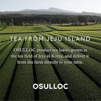 OSULLOC Peach Black Tea (Tropical Mango & Peach Flavor), Fruit tea Blend, Premium Teabags from Jeju Island, 20 count