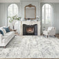 Soalmost 10x12 Area Rugs for Living Room Washable Rug Non-Slip Blue/Ivory | by Soalmost