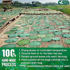 FreshDrinkUS, Premium 30 Lotus Leaf Tea Bags, 100% Natural & Pure from Lotus Leaves. Loose Leaf Lotus Herbal Tea. Made with Eco-Conscious Tea Bags. No Sugar, No Caffeine, No Gluten, Vegan.