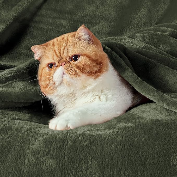 Bedsure Fleece Blanket Queen Blanket Olive Green - Image 2