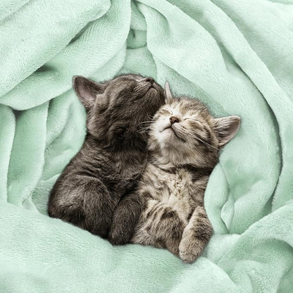 Utopia Bedding Soft Fleece Bed Blanket Queen Size Mint Green | Microfiber Plush - Image 4